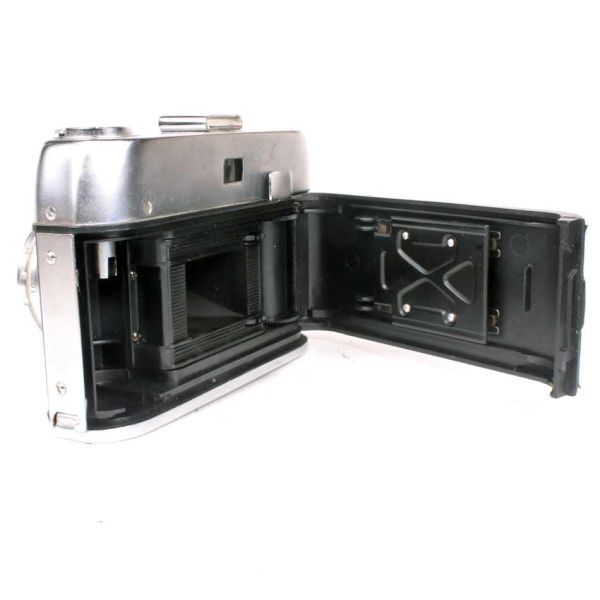 Halina Paulette Electric